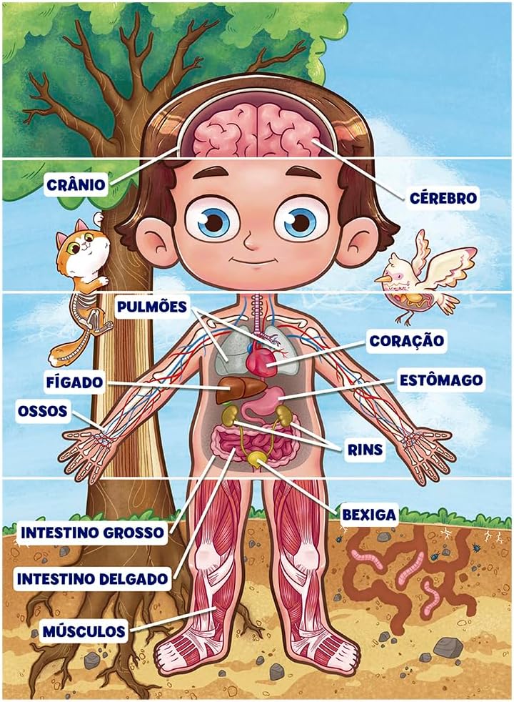 Quebra-cabeça Cartonado, Grow, Corpo Humano, 100 Peças - Imagem 2